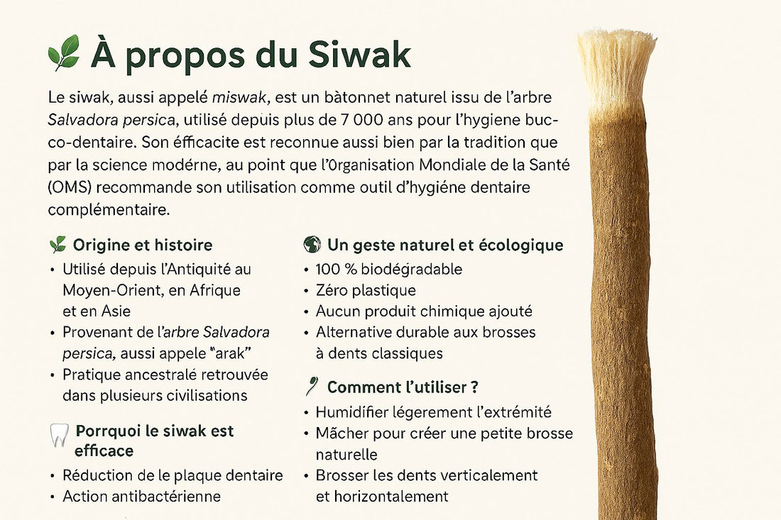 🌿 À propos du Siwak