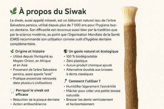 🌿 À propos du Siwak