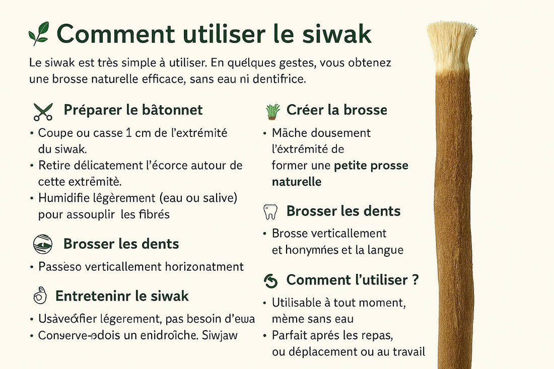 🪥 Comment utiliser le siwak ?