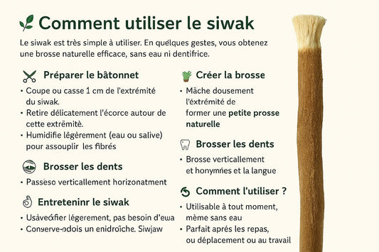 🪥 Comment utiliser le siwak ?
