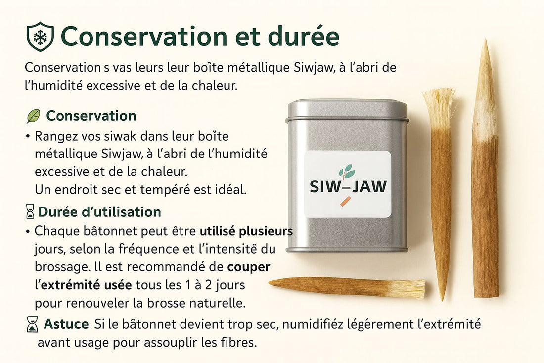 🧊 Conservation et durée